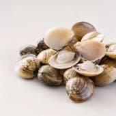 693615819660578ad530c34a